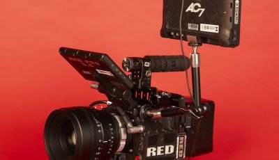 RED_19 RED_19